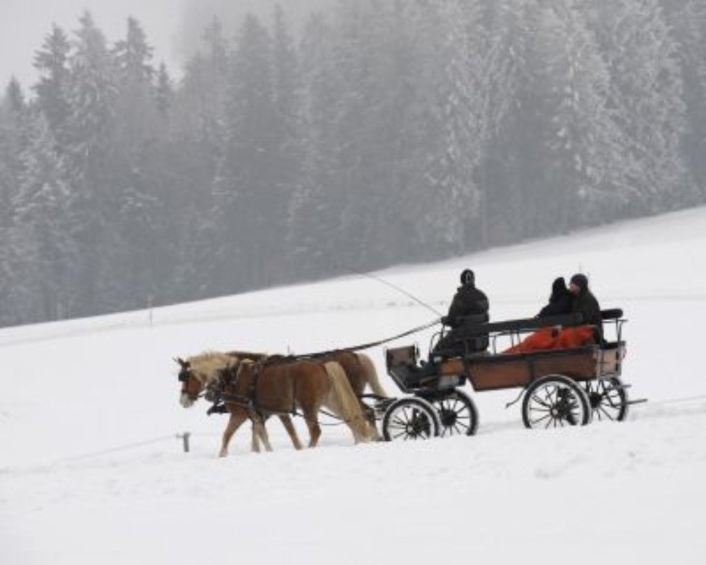 Winterlandschaft bei Neukirch.