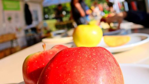Äpfel  sind beliebt, doch die Ernte in diesem Jahr fällt schlecht aus. Foto: Eva Herschmann