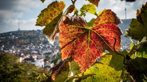 Nach einem warmen und langen Sommer kommt der erfrischende Herbst dem ein oder anderen sehr gelegen. Foto: Lichtgut/Achim Zweygarth