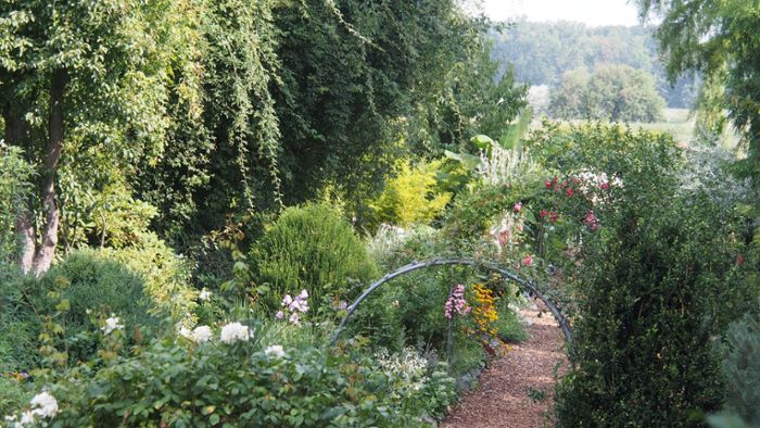 Ein Garten mit Lebkuchenbaum, Kürbis und Lavendel