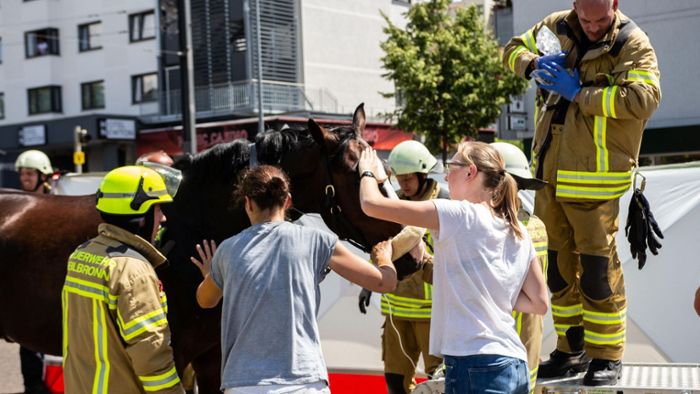 Polizei rettet Pferd aus misslicher Lage