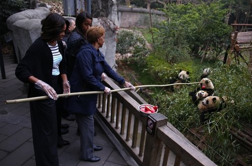 In einem Reservat für gefährdete Pandas füttert Michelle Obama die schwar-weißen Bären mit Apfelstückchen. Normalen Besuchern ist das natürlich strengstens verboten. Foto: Getty Images AsiaPac
