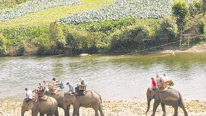 Ausflug auf dem Rücken von Elefanten durch das Nam-Khan-Tal. Foto: Weiss