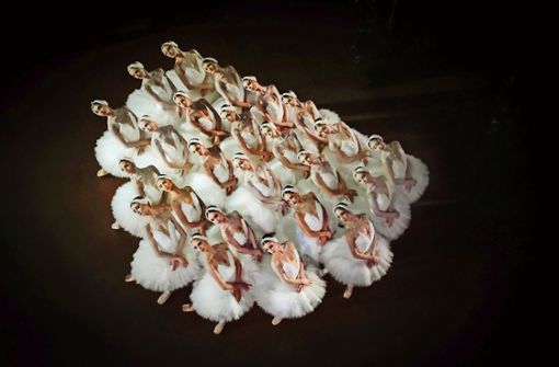 Die „Schwäne“ aus dem Ballett Schwanensee – eines der Fotos, das uns der Tänzer, Choreograf und Fotograf Roman Novitzky für die Aktion Weihnachten zur Verfügung gestellt hat. Foto: Roman Novitzky