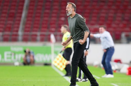 Trainer Pellegrino Matarazzo bejubelt den Sieg des VfB Stuttgart gegen den HSV. Foto: Pressefoto Baumann/Hansjürgen Britsch