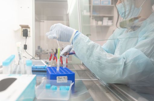 Eine Mitarbeiterin im Labor wertet einen PCR-Corona-Test aus. (Symbolbild) Foto: dpa/Sebastian Gollnow