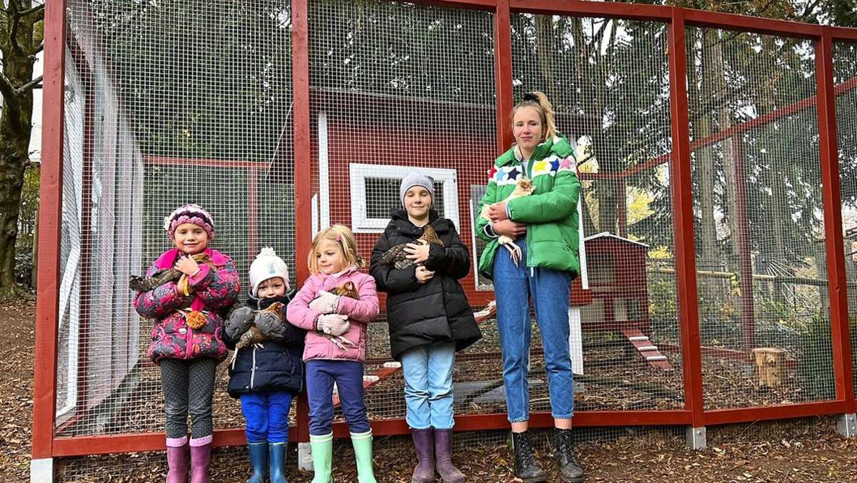 Hühnerstall in  Wohnsiedlung in Stuttgart: Hühner als  Quell der Freude und des Ärgers
