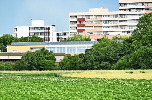 An der Theodor-Heuss-Realschule könnte bald ein Neubau entstehen. Foto: Horst Dömötör