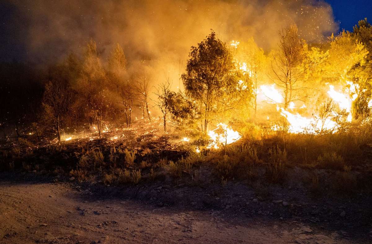 In der spanischen Provinz  Katalonien wüten die Flammen derzeit besonders heftig. Doch auch Portugal hat mit schweren Waldbränden zu kämpfen, wie in der Bildergalerie zu sehen ist. Foto: dpa/Eric Renom