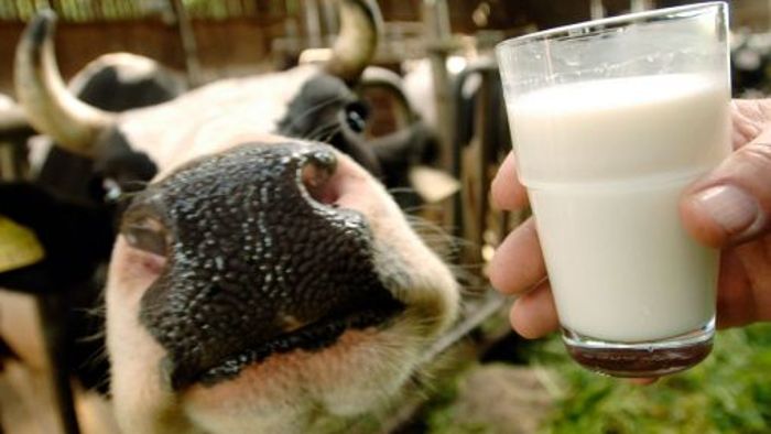„Milch ist ein gutes Lebensmittel“