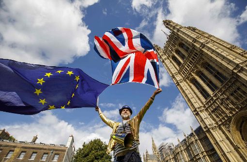 Anti-Brexit-Demonstranten vor dem britischen Parlament: Das umstrittene EU-Austrittsgesetz hat am Dienstag die erste Hürde im britischen Parlament genommen. Foto: Tolga Akmen