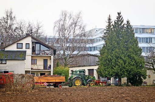 Die Stadtentwicklung ist geprägt von einem  steten Abwägen der Interessen, weil in Ditzingen Landwirtschaft und High Tech aufeinandertreffen. Foto: factum/Granville