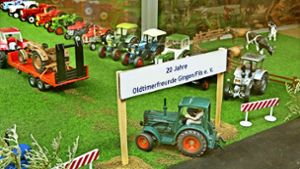 Fast wie echt – die historischen Traktormodelle rollen zum großen Oldtimertreffen. Foto: Horst Rudel