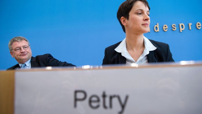 Petry und Meuthen bekräftigten Zusammenarbeit