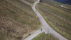 1000 Hektar Weinberge neu gestaltet