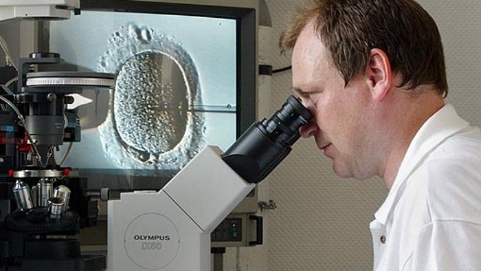 Forscher züchten Sperma im Labor