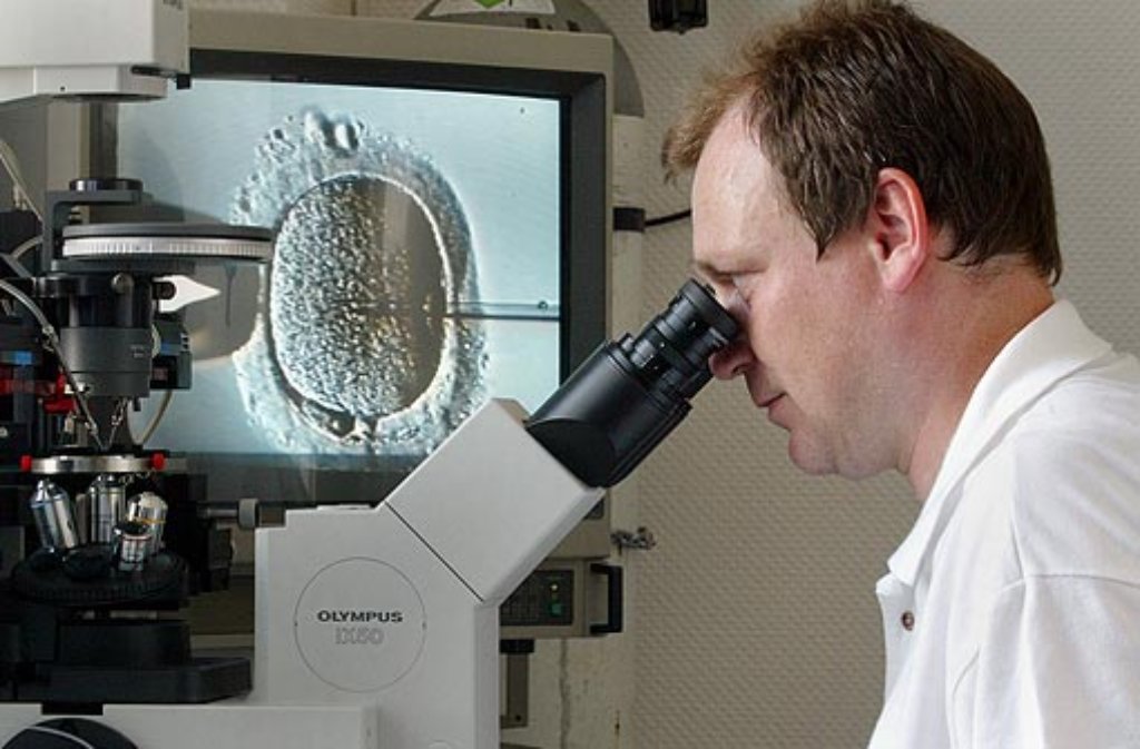 Ein Biologe injiziert Spermien Foto: AP