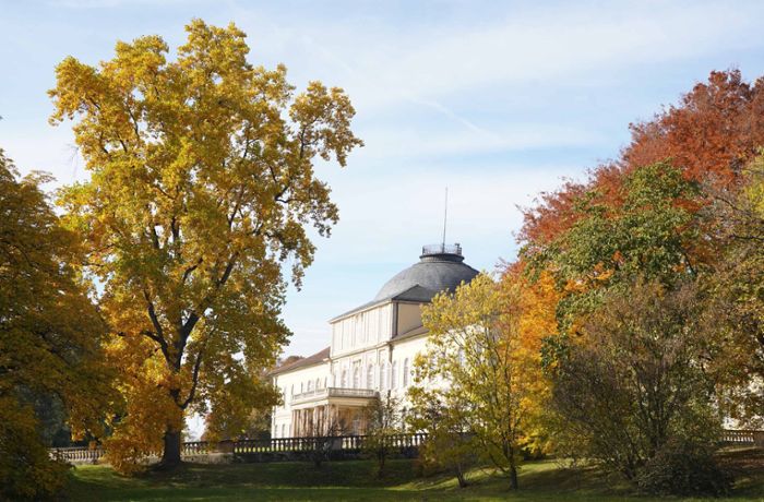 Herbst in Stuttgart: So schön ist der goldene Oktober