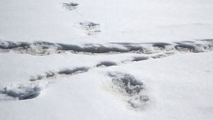 Diese Bild soll die Fußabdrücke des Yeti zeigen. Foto: AFP