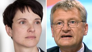 Der Zerfall der AfD-Landtagsfraktion in Baden-Württemberg wird immer mehr zu einem Machtkampf zwischen den Parteichefs Frauke Petry und Jörg Meuthen. Foto: dpa