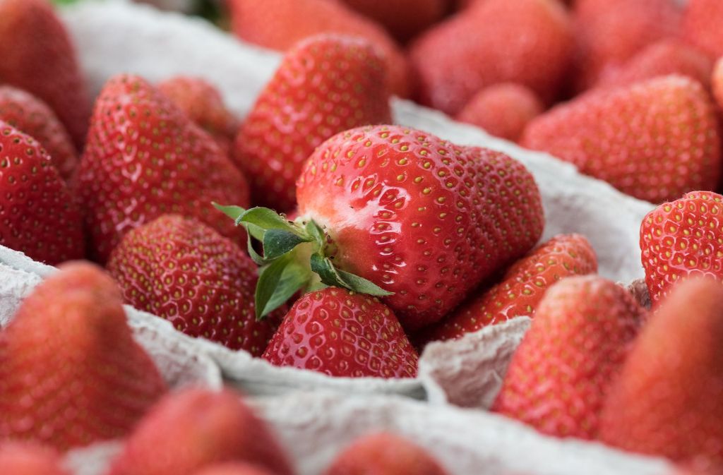 Anfang Juni dreht sich in  Esslingen alles um die Erdbeere.