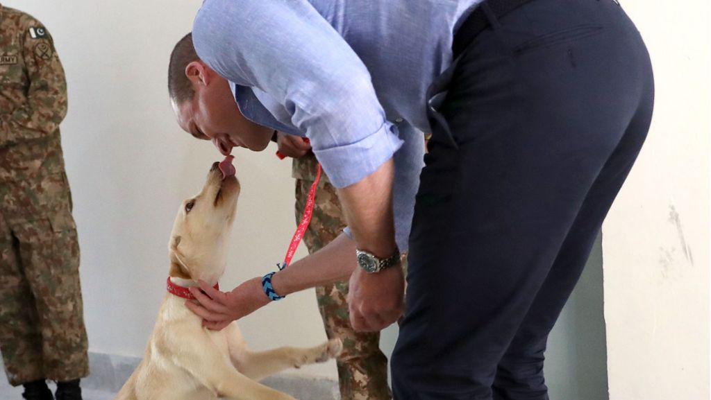 Tödliche Bakterien in Hundespeichel: Herrchen stirbt nach Schmusen mit Hund an Infektion
