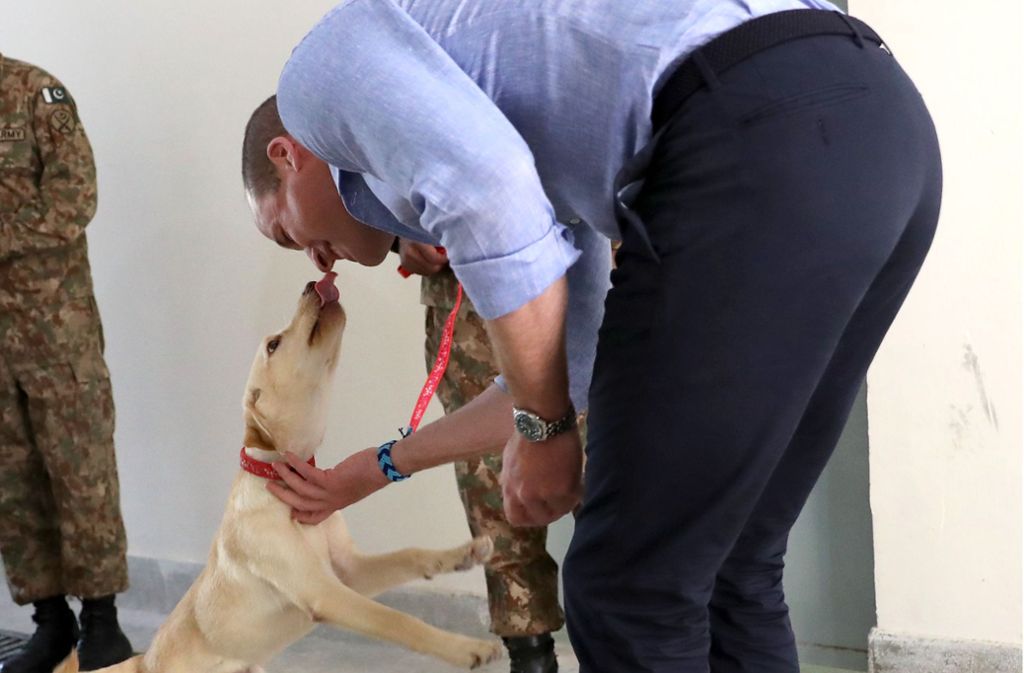 Auch der britische Prinz William  lässt sich  von  Hunden ablecken – hier während eines Besuchs des Herzogs von Cambridge im Army Canine Centre auf seiner  Pakistan-Reise im Oktober 2019. Foto: Chris Jackson/PA Wire/dpa