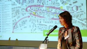 Dörte Meinerling hat einen Abend der Bürgerbeteiligung  Ende 2013 moderiert. Foto: Maira Schmidt