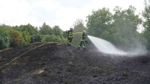 Hitze in Stuttgart: Flächenbrand breitet sich auf großer Wiese aus