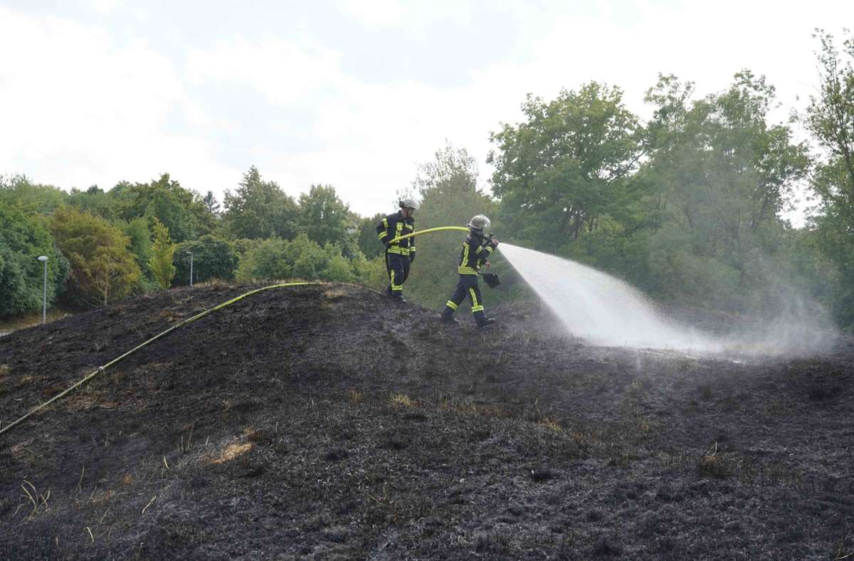 Die Feuerwehr löschte einen Flächenbrand in Stuttgart-Münster.