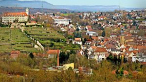 In der Stadt mit dem Wahrzeichen  Schloss Kaltenstein werden  bis 2021 gut  42 Millionen Euro investiert. Eine Gartenschau könnte die Entwicklung weiter voranbringen. Foto: factum/Granville