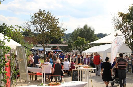 Das letzte Dorffest wurde 2010 im Breitwiesenareal gefeiert. Foto: oh