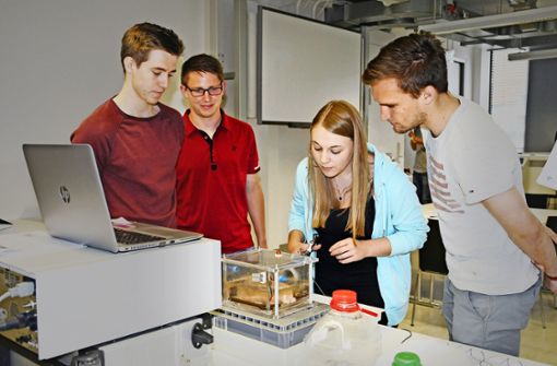 Studierende des Campus Tuttlingen sind eng an die Unternehmen angebunden – hier  machen sie ein Praktikum beim Endoskophersteller Karl Storz. Foto: Hochschule  Furtwangen