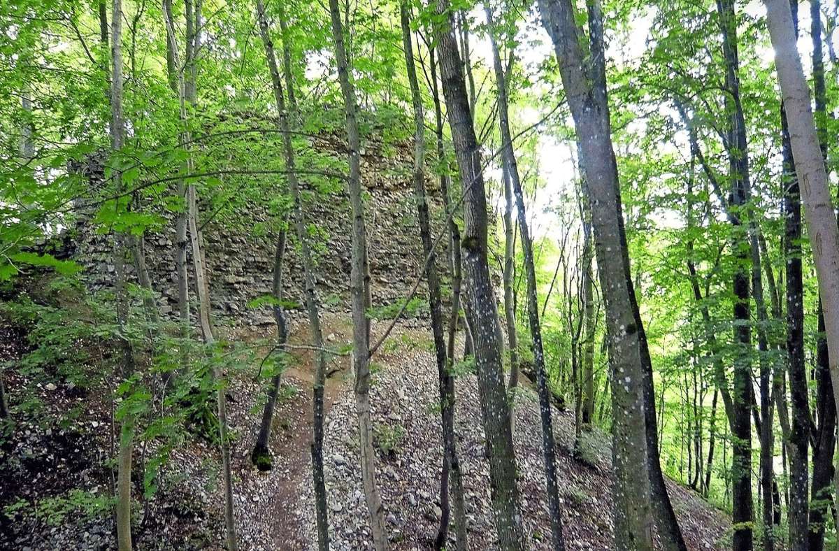 Von der Schildmauer sind noch imposante Reste vorhanden, der anschließende Burggraben ist zehn Meter tief.