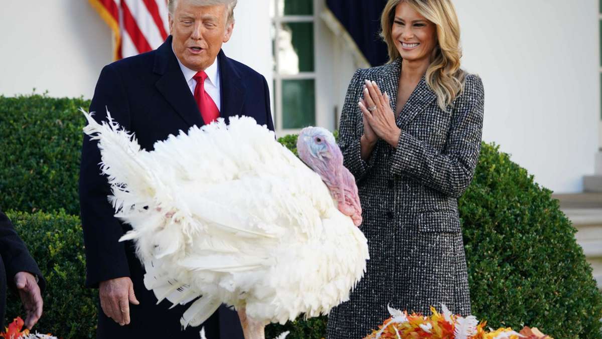 Donald Trump bei Thanksgiving-Tradition: „Lahme Ente“ begnadigt Truthahn