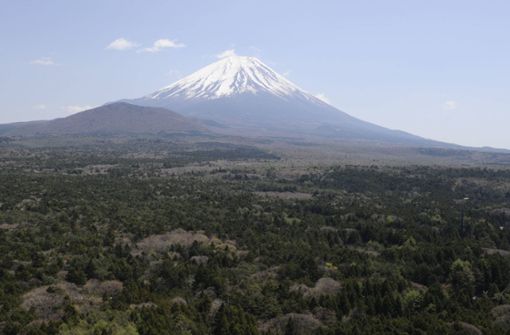 Am Fuße des Mount Fuji – dem höchsten Berg Japans – liegt der als „Selbstmordwald“ bekannte Aokigahara Wald. Foto: imago/Kyodo News