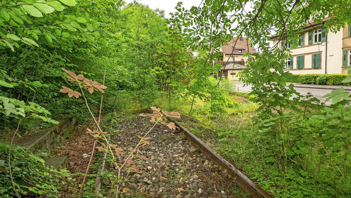 Stadtbahn-Pläne im Kreis Ludwigsburg: Beschleuniger und mögliche Bremsklötze