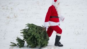 Nikolaus und Tannenbaum gehören zu Weihnachten einfach dazu - aber warum eigentlich? In unserem Quiz erfahren Sie, was hinter den Traditionen steckt. Foto: dpa