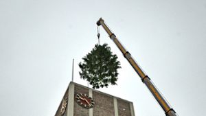 Der Baum verschwindet bald wieder vom Rathausdach. Foto: Archiv
