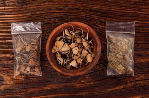Folgen  nach einer möglichen Cannabis-Legalisierung Debatten über bestimmte Pilze? Davor warnt Stephan Pilsinger. Foto: imago images / Panthermedia/eskymaks
