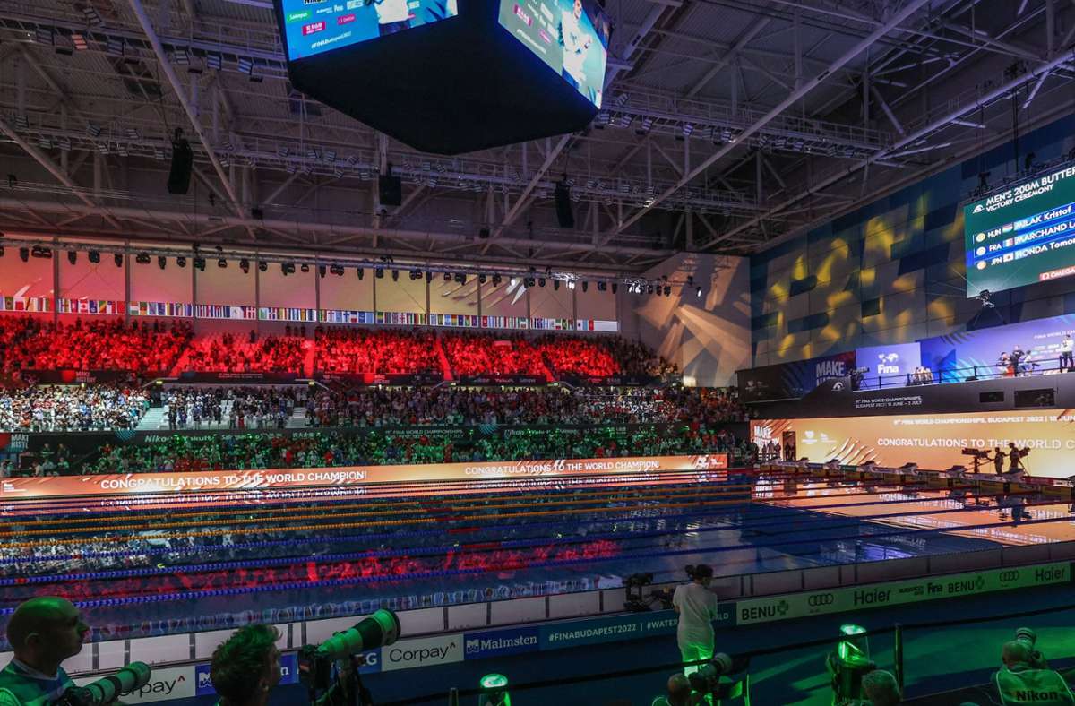 ZDF hat Übertragungsrechte Darum ist die Schwimm-WM im TV nirgends zu sehen