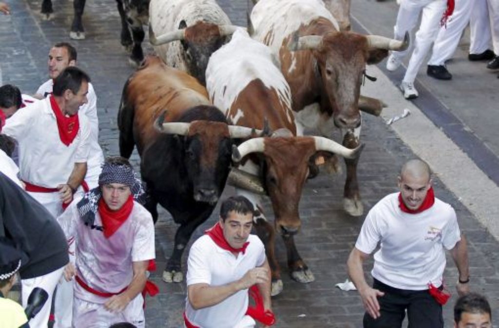 Was ist Tradition, was Tierquälerei? Wir haben uns die Stierhatz von Pamplona genauer angesehen. Der ganz normale Wahnsinn der Fiesta San Fermin beginnt mit der Stierjagd Encierro. Foto: dpa