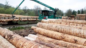 Sägewerk im Nordschwarzwald: Die Betriebe wurden nach Ansicht des Bundeskartellamts durch die zentrale Holzvermarktung des Landes benachteiligt. Foto: dpa