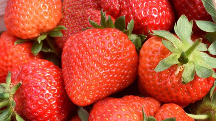 Aldi-Kundin kauft Erdbeeren und macht eine eklige Entdeckung