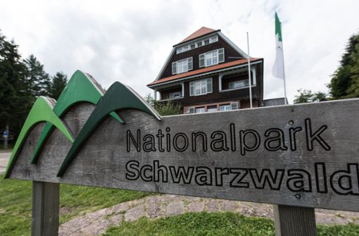 Der zweigeteilte Nationalpark Schwarzwald wurde 2014 gegründet. Foto: dpa
