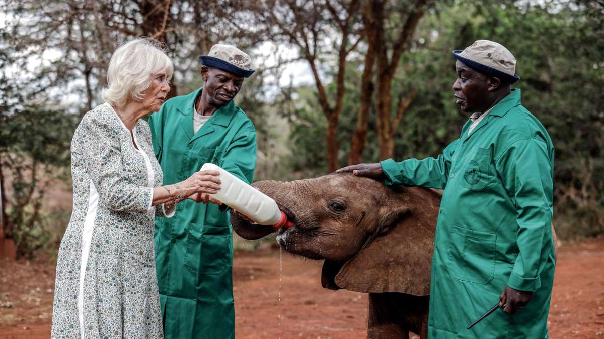 Königin Camilla füttert einen Baby-Elefanten.