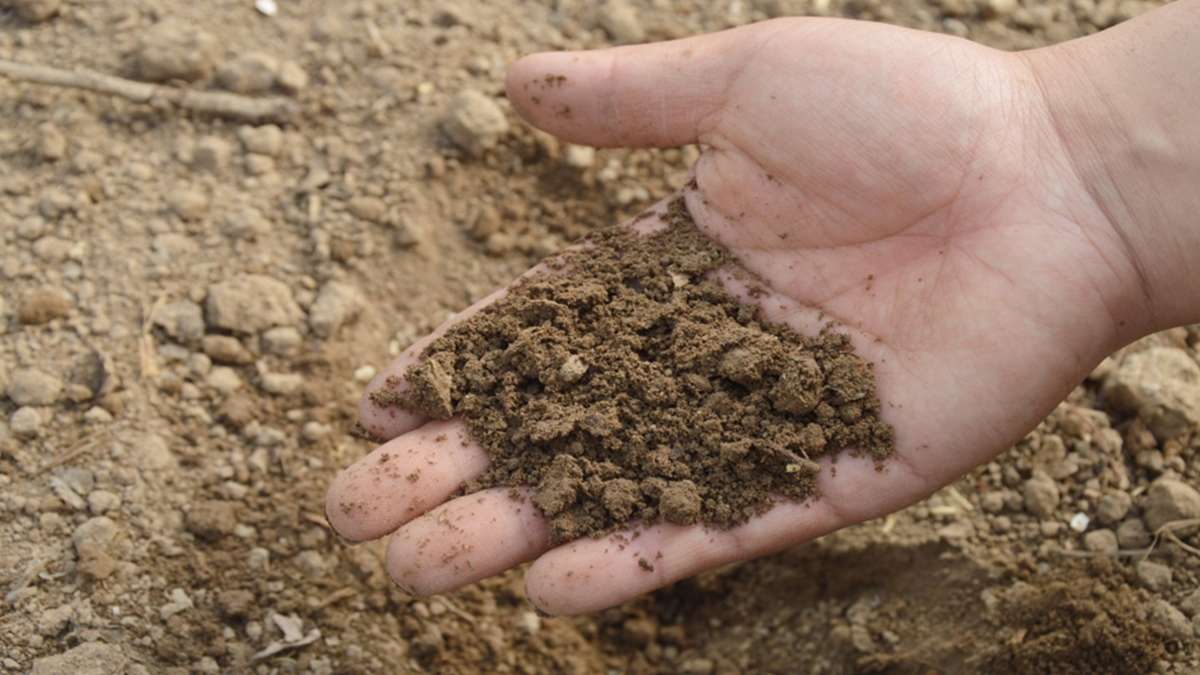 ベーブリンゲン: 果物栽培における土壌サンプルと肥料