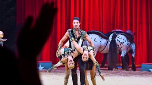 TV-Star René Casselly  bei „Let’s Dance“ mit  dem Pferd