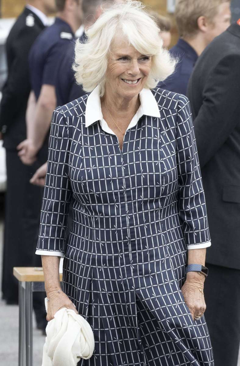Kurioserweise sieht das Muster auf Herzogin Camillas Kleid aus wie Stacheldraht.