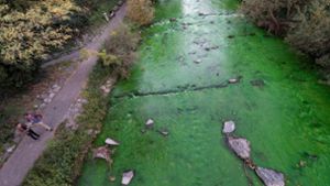 Ursache für giftgrün-gefärbten Fluss gefunden